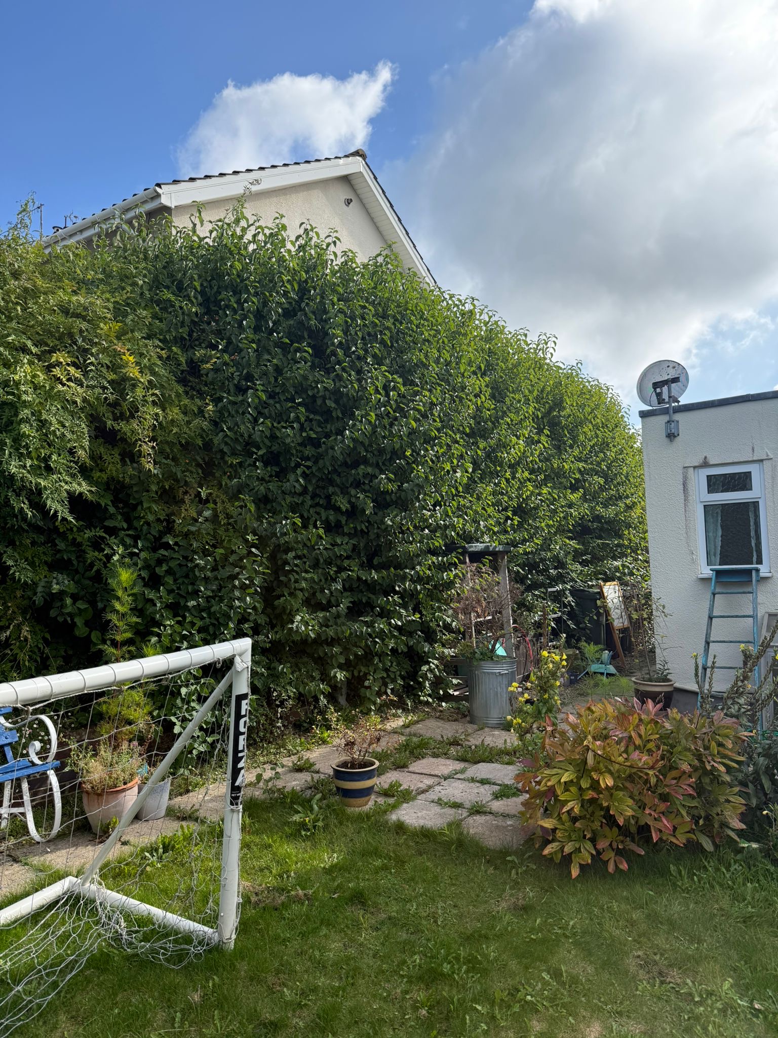 Alpines tree surgery project photo